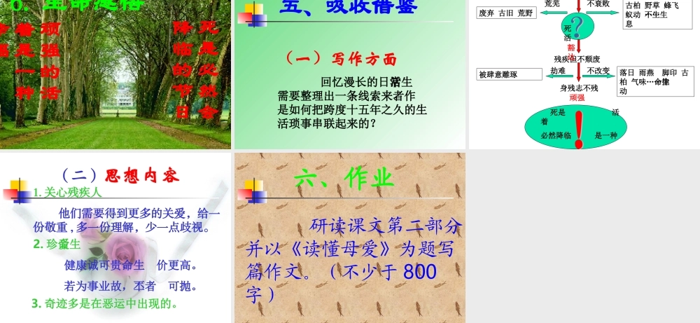 高中语文选修4我与地坛2 ppt 课件