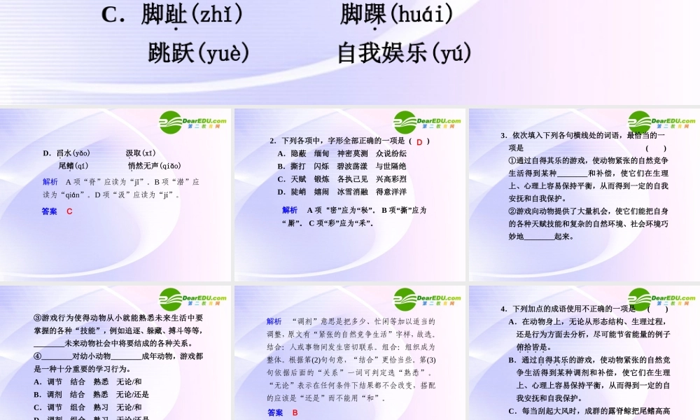 第12课第2课时动物游戏之谜 课件