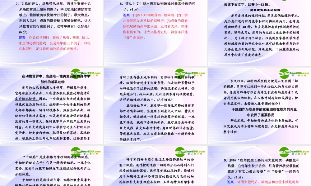 第12课第2课时动物游戏之谜 课件