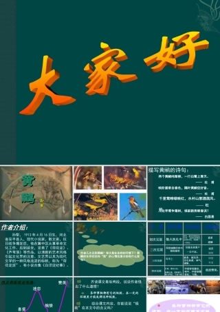 高中语文：黄 鹂 课件 语文版07版必修一 课件