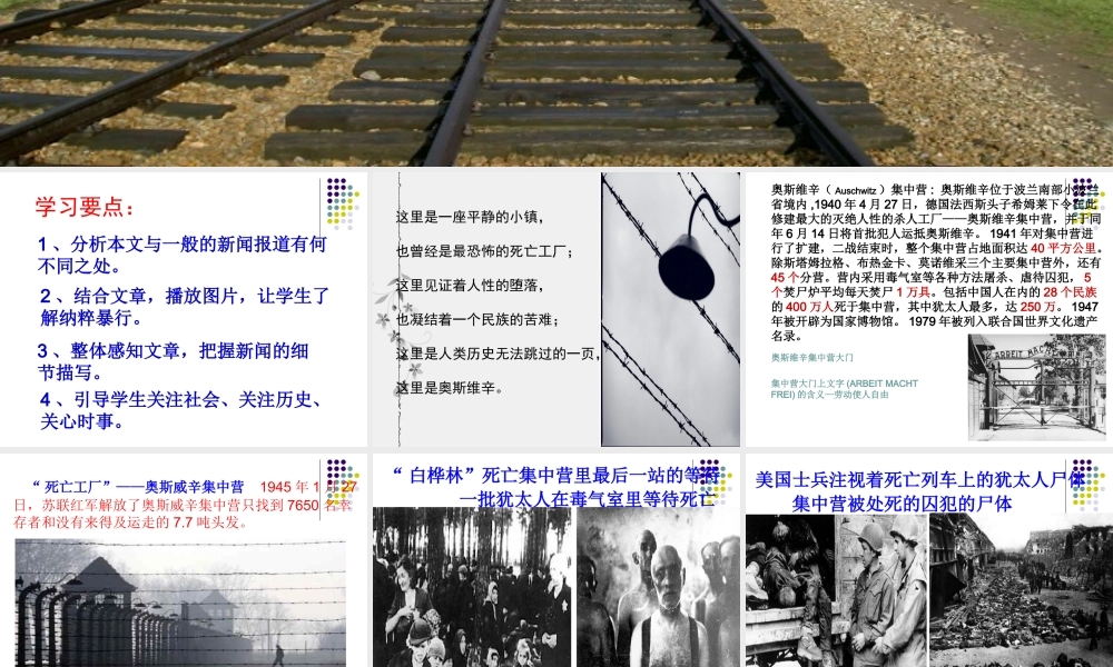 高中语文优秀课件：奥斯维辛没有什么新闻 课件