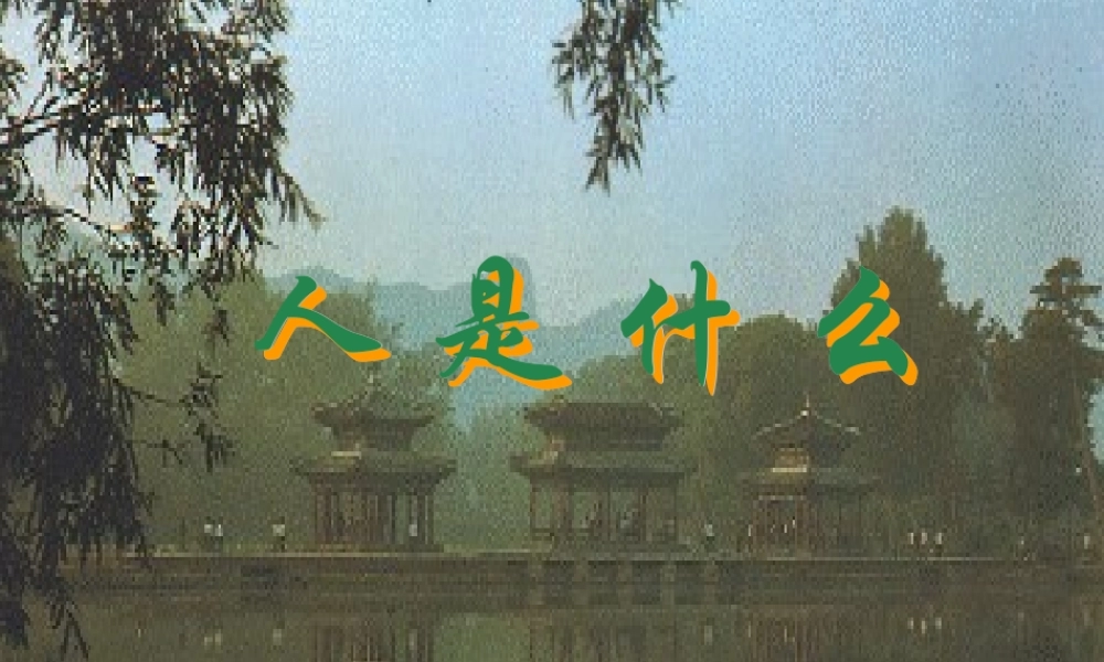 高中语文第五册人是什么ppt3 课件