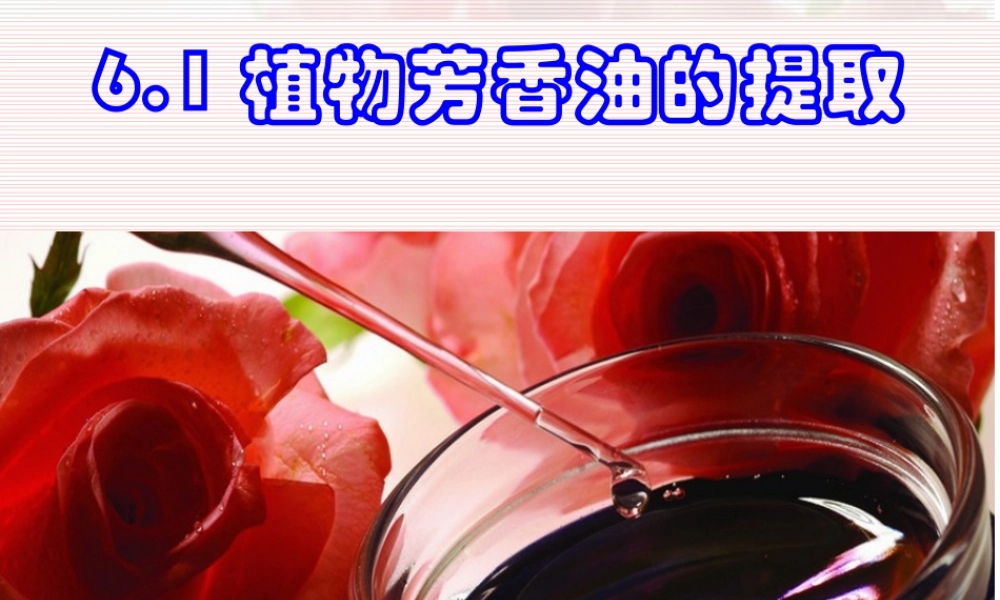 边做边学水蒸气蒸馏法提取橘皮中的芳香油