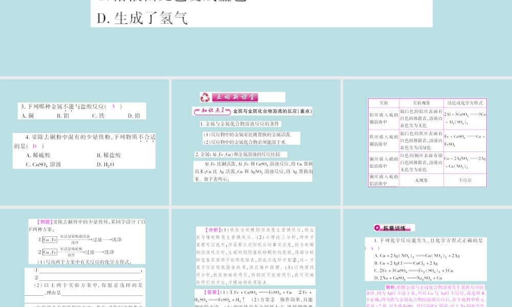 8.2.2金属活动性顺序