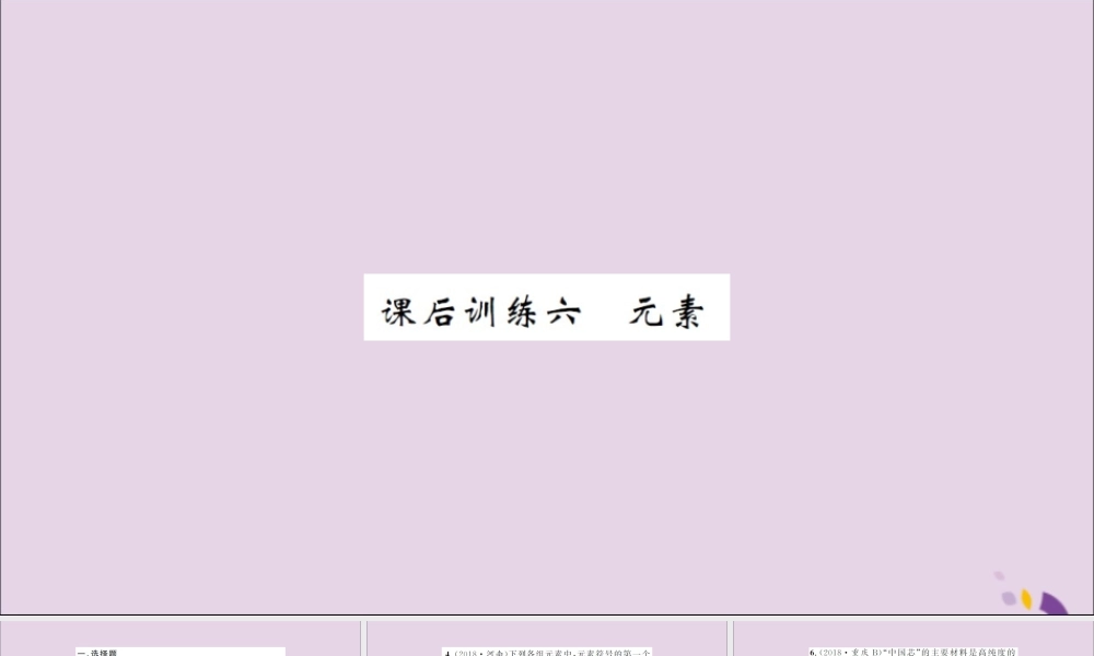 湖北省中考化学一轮复习 课后训练六 元素习题课件