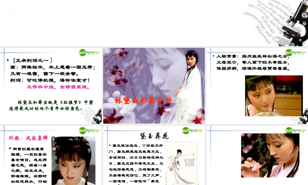 高考语文 红楼梦主要人物形象分析复习课件