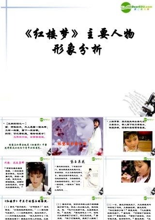 高考语文 红楼梦主要人物形象分析复习课件