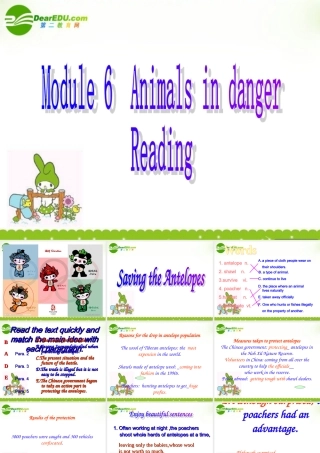 高中英语 Module 6(Animals in Danger)课件(3) 外研版必修5 课件