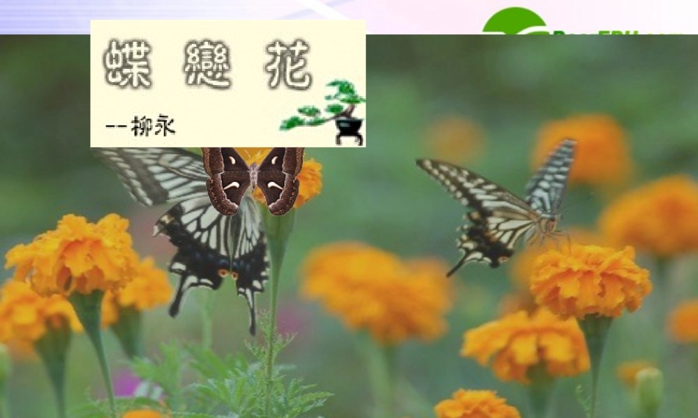 高中语文 (蝶恋花(伫倚危楼风细细))课件1 粤教版选修1 课件