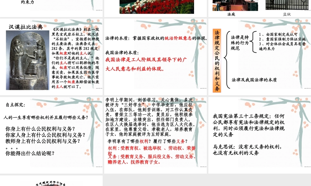 法律规定了公民的权利和义务