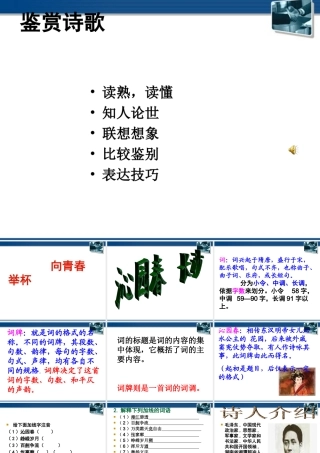 高中语文(沁园春·长沙) 课件8 北京版选修2 课件