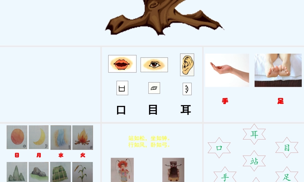 《口耳目》课件
