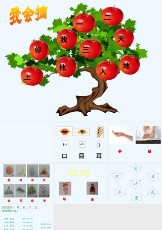 《口耳目》课件