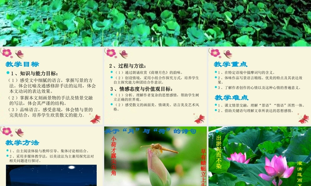 高中语文1荷塘月色课件新人教版必修2 课件