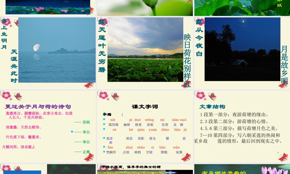 高中语文1荷塘月色课件新人教版必修2 课件