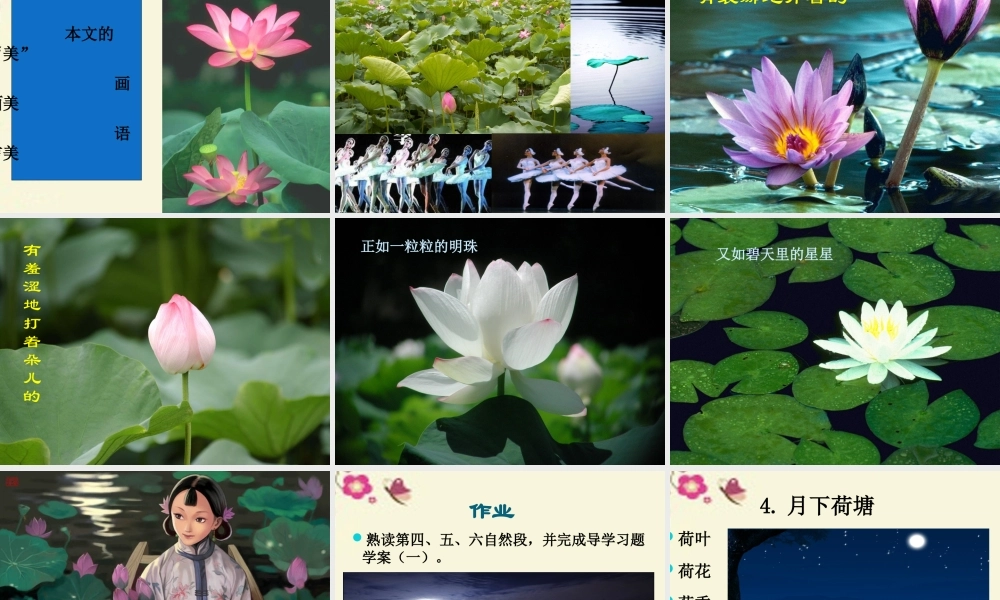 高中语文1荷塘月色课件新人教版必修2 课件