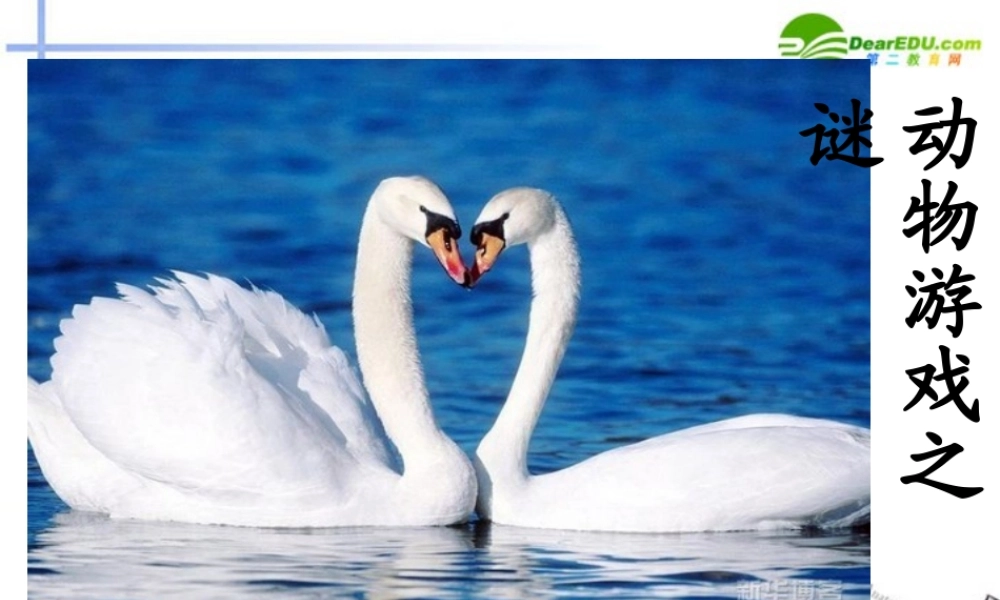 高中语文(动物游戏之谜)课件7 新人教版必修3 课件