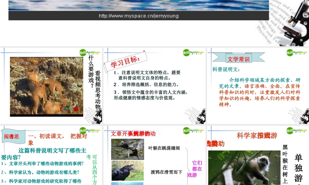 高中语文(动物游戏之谜)课件7 新人教版必修3 课件