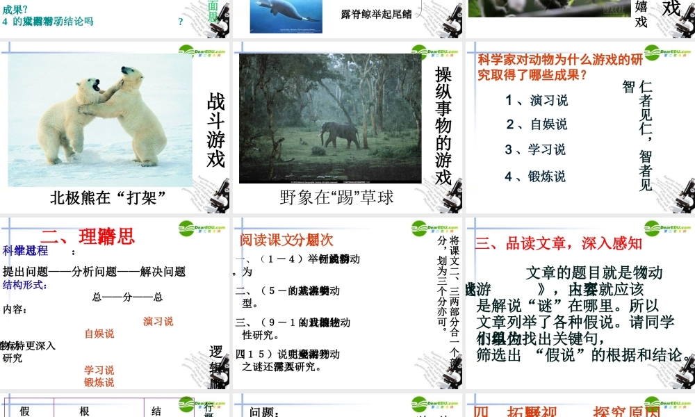 高中语文(动物游戏之谜)课件7 新人教版必修3 课件