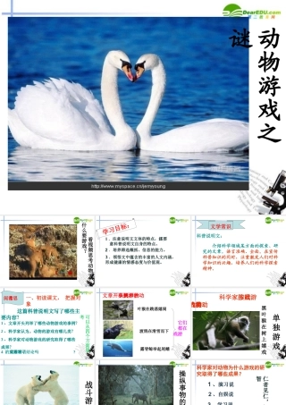 高中语文(动物游戏之谜)课件7 新人教版必修3 课件