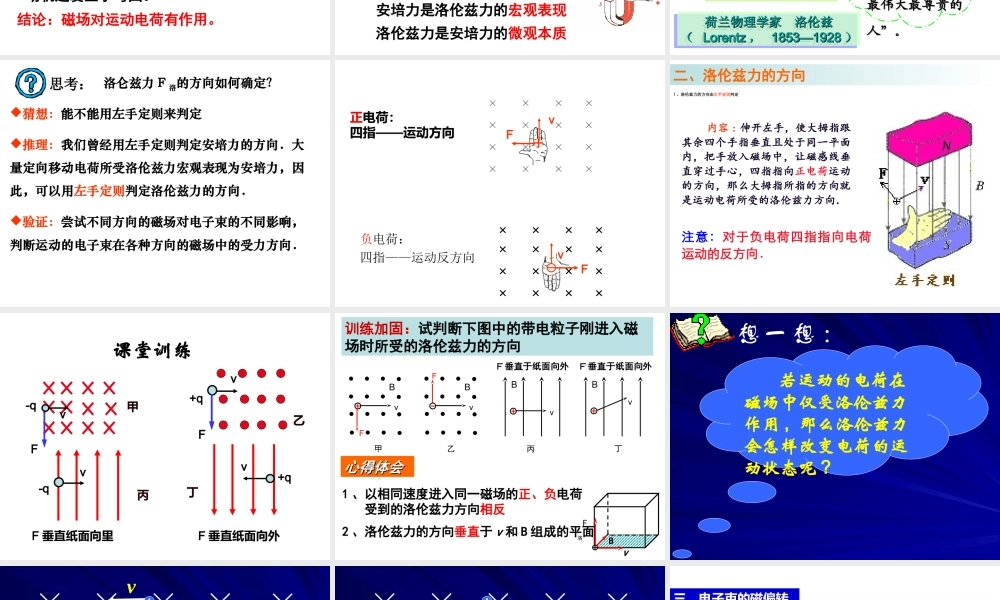 四、磁场对运动电荷的作用-(3)