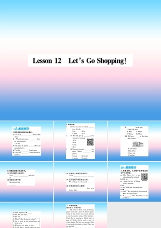 秋七年级英语上册 Unit 2 Colours and Clothes Lesson 12 Let s Go Shopping课件 (新版)冀教版 课件