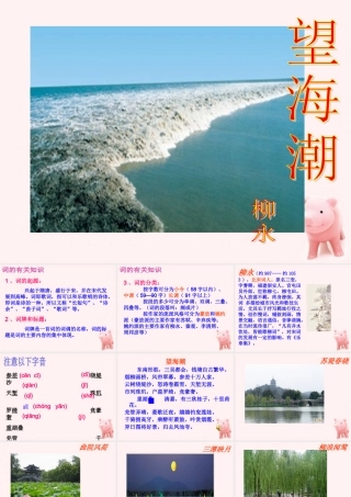 高中语文 24(望海潮)课件 新人教版必修4 课件