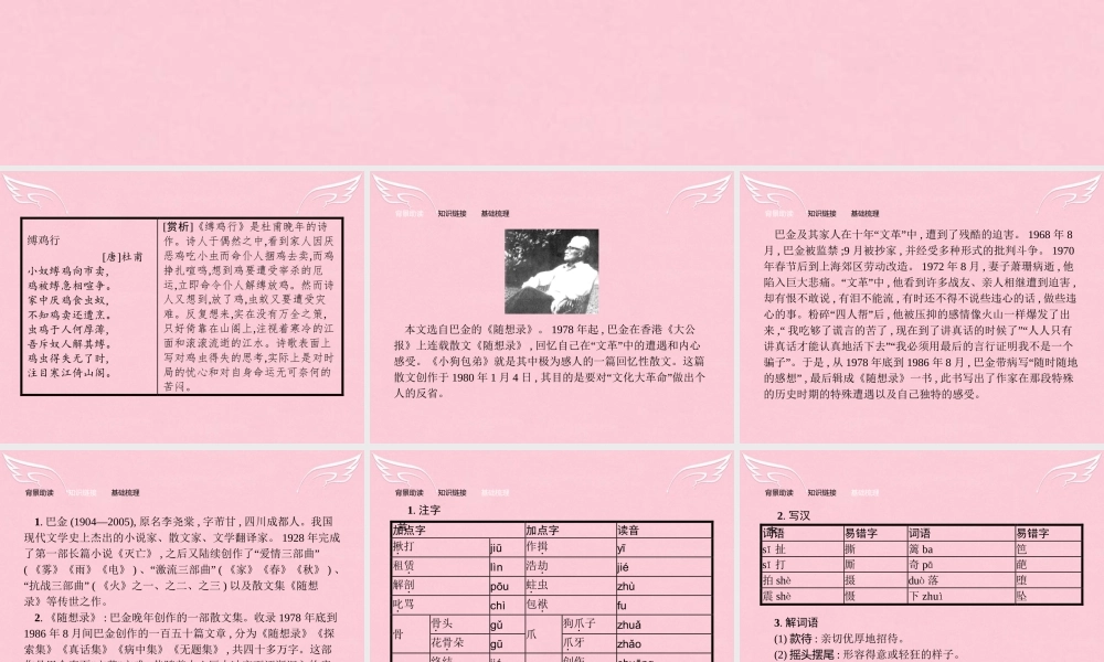 高中语文第三单元写人记事的散文8小狗包弟课件新人教版必修1 课件