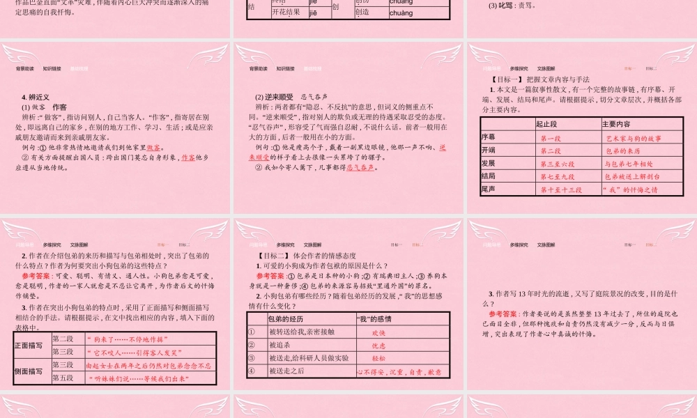 高中语文第三单元写人记事的散文8小狗包弟课件新人教版必修1 课件