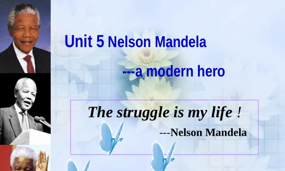 高中英语 Unit5 Reading课件 新人教版必修1 课件