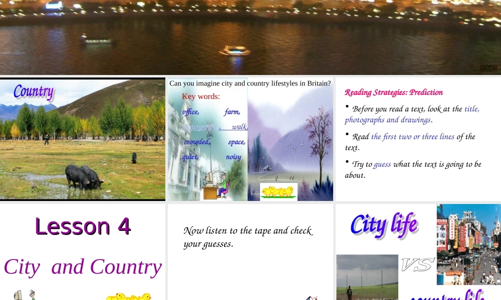 高中英语Unit 1 lesson 4 City and Country课件12 北师大版 必修1 课件
