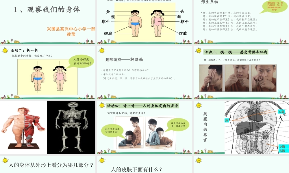 1.观察我们的身体