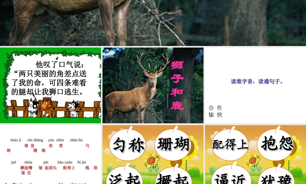 28《狮子和鹿》ppt课件2