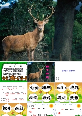 28《狮子和鹿》ppt课件2