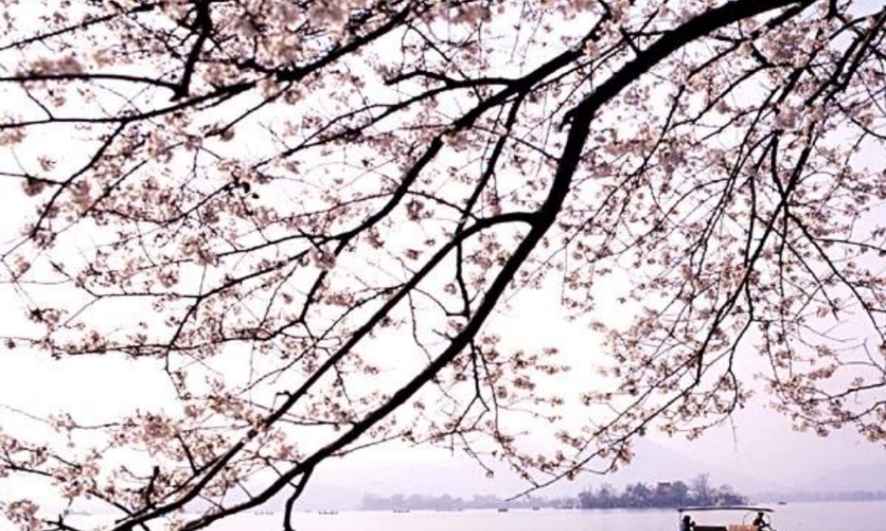 高二语文：我为什么活着－蒙世贞课件旧人教版 课件