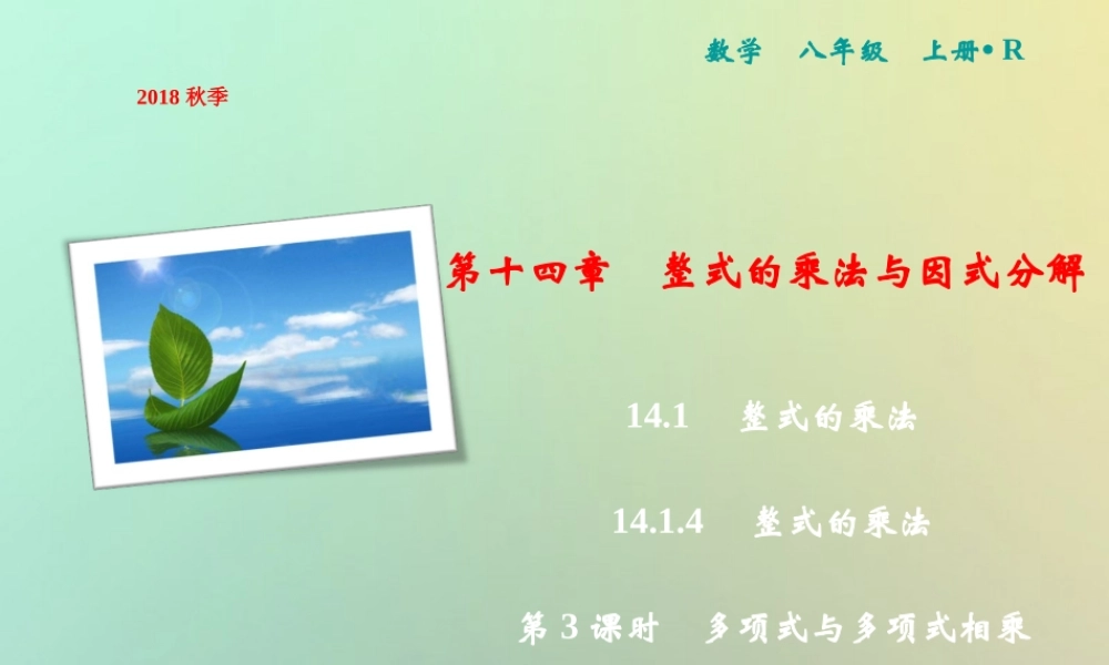 秋八年级数学上册 第14章 整式的乘法与因式分解 14.1 整式的乘法 14.1.4 整式的乘法 第3课时 多项式与多项式相乘课件 (新版)新人教版 课件