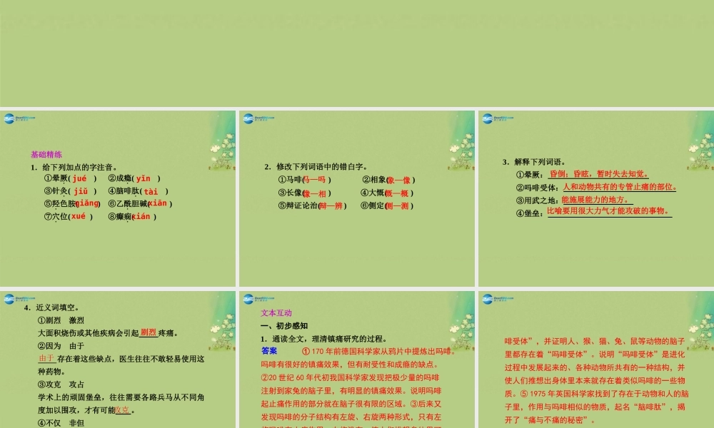 语文 第4课(痛与不痛的秘密)课件 语文版必修3 课件