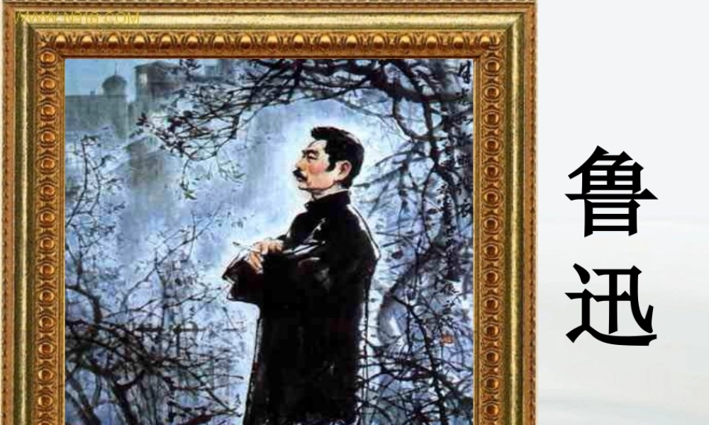 高中语文((新青年)时代的鲁迅)课件 语文版必修2 课件