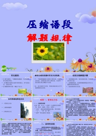 高考语文复习 压缩语段——解题规律课件 新人教版 课件