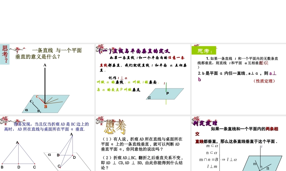 湖南省桃江县高一数学(231直线和平面垂直判定)课件