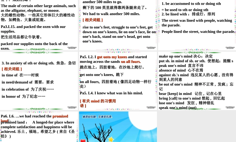 高三英语Unit6 Language points of reading 新课标 人教版 课件