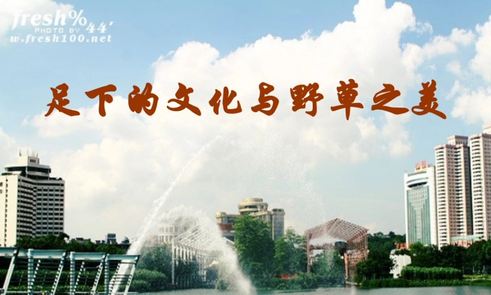 高中语文 第一专题(足下的文化与野草之美)课件 苏教版必修5 课件