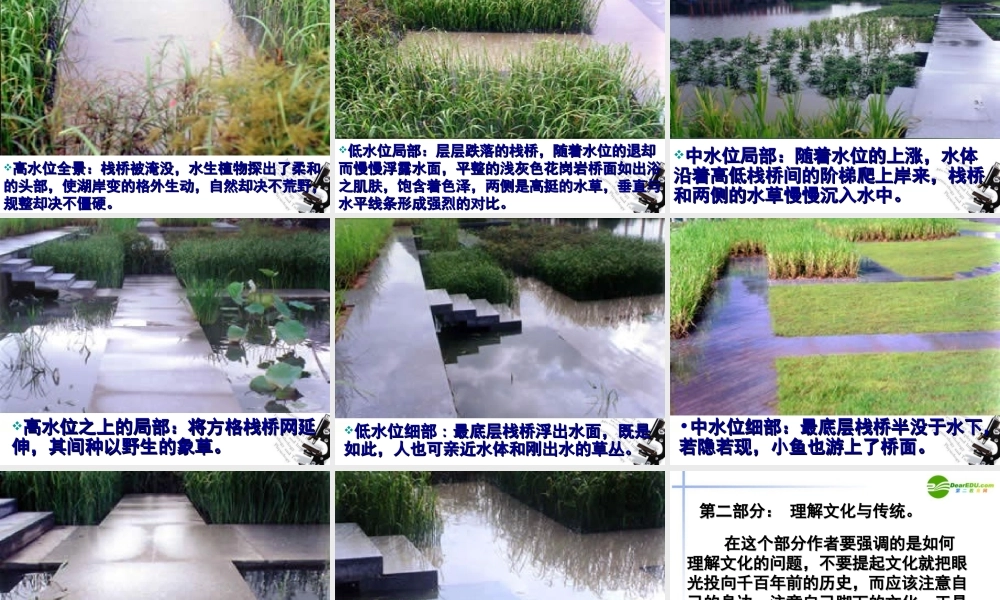 高中语文 第一专题(足下的文化与野草之美)课件 苏教版必修5 课件