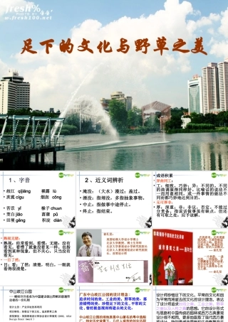 高中语文 第一专题(足下的文化与野草之美)课件 苏教版必修5 课件