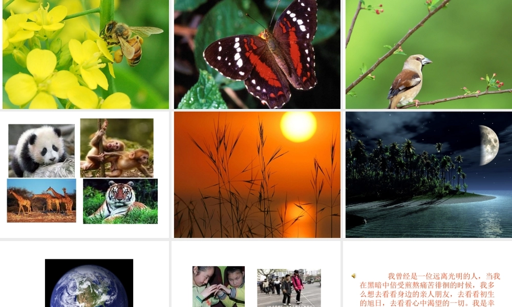 四年级语文永生的眼睛课件