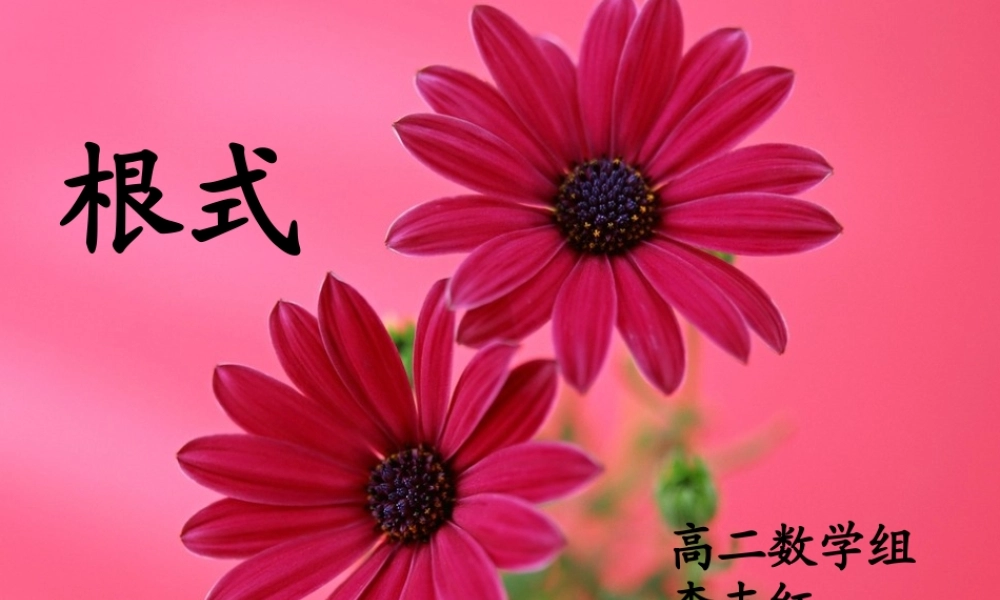 高中数学 根式说课课件 新人教版必修1 课件