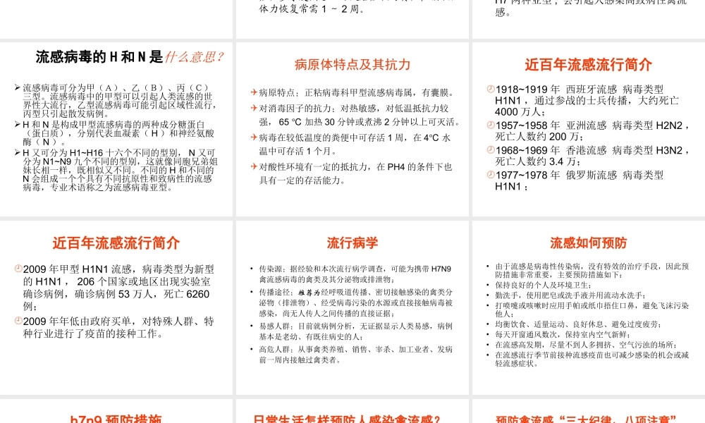 禽流感专题讲座-幼儿园