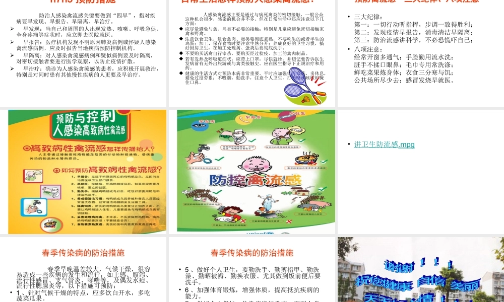 禽流感专题讲座-幼儿园