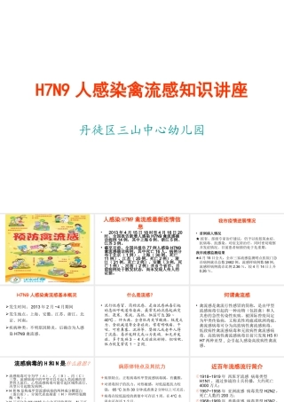 禽流感专题讲座-幼儿园