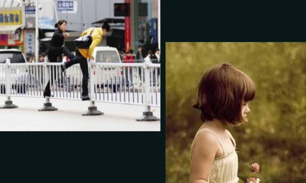 高中语文 第三单元之(我的呼吁)课件 人教版第一册 课件